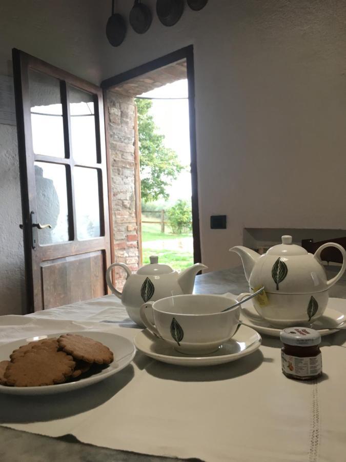 Villa San Regolino Whit Private Pool Radicondoli Zewnętrze zdjęcie