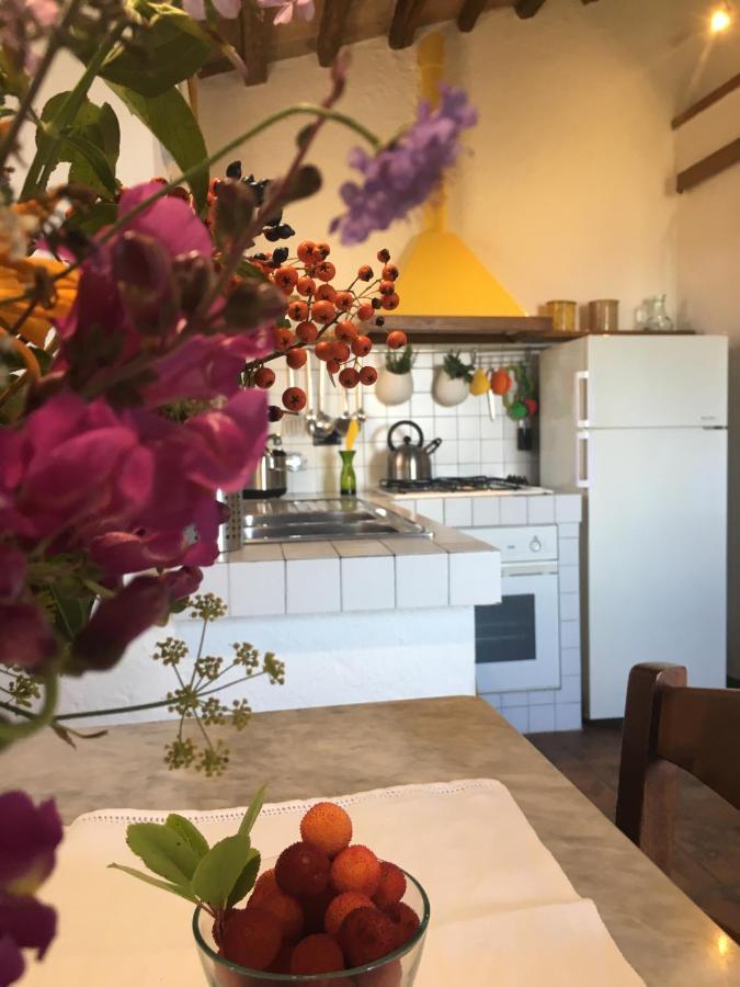 Villa San Regolino Whit Private Pool Radicondoli Zewnętrze zdjęcie